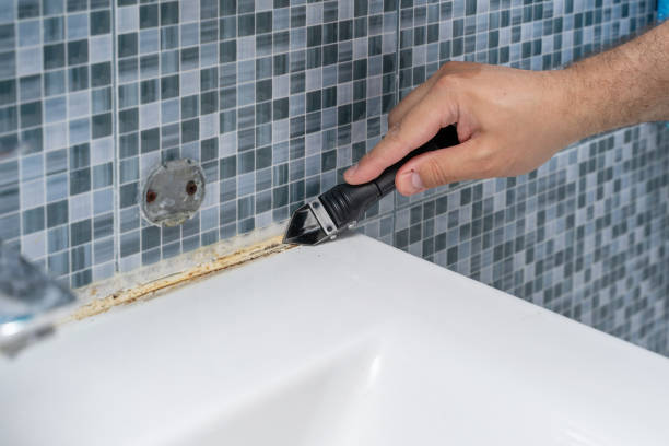 Best Emergency Mold Remediation in Urbancrest, OH